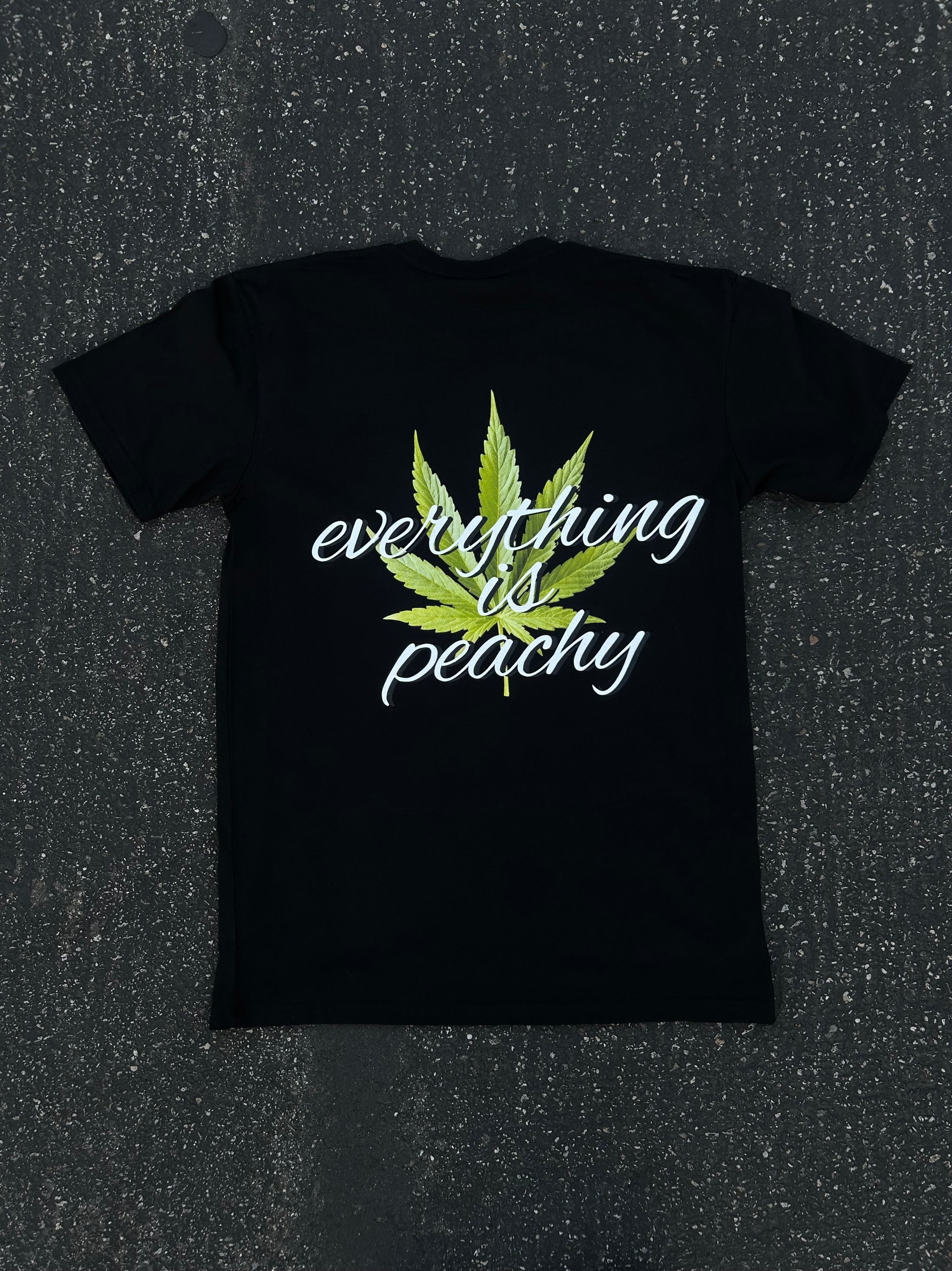 (Pre-Order) Everything Is Peachy T-Shirt