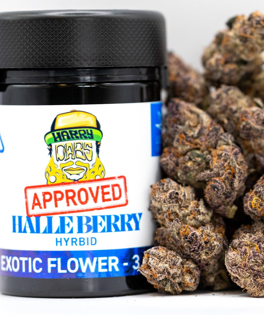 Halle Berry Exotic - Harry Dabs Collab 3.5g Hybrid Flower